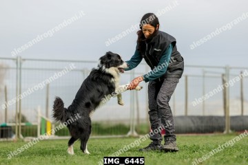 IMG_6445.jpg