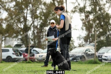 IMG_6481.jpg