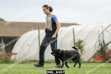 IMG_6497.jpg