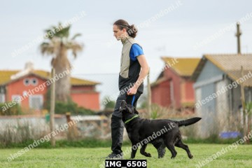 IMG_6508.jpg