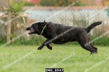 IMG_6547.jpg