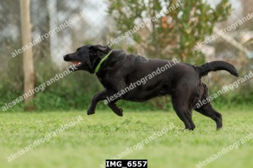 IMG_6557.jpg