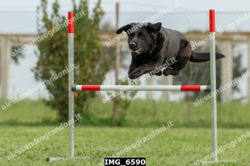 IMG_6590.jpg