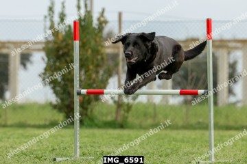 IMG_6591.jpg