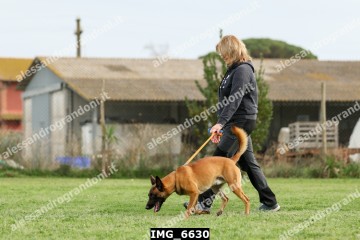 IMG_6630.jpg