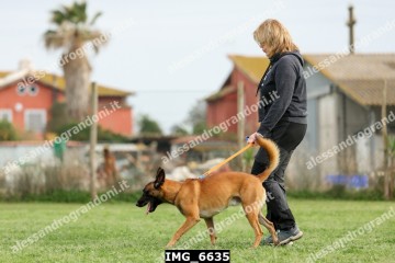 IMG_6635.jpg