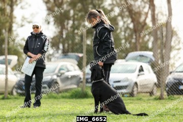 IMG_6652.jpg