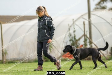 IMG_6668.jpg