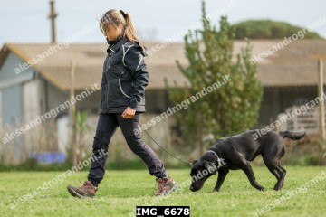 IMG_6678.jpg
