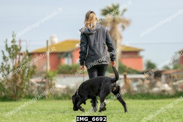 IMG_6692.jpg