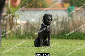 IMG_6711.jpg