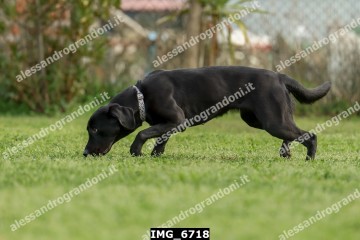 IMG_6718.jpg