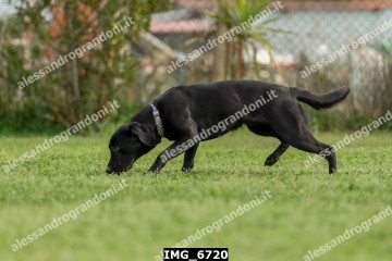 IMG_6720.jpg