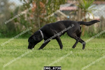 IMG_6730.jpg