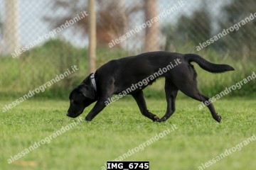 IMG_6745.jpg