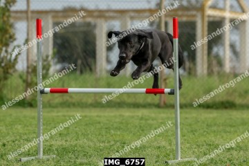 IMG_6757.jpg