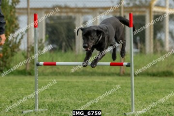 IMG_6759.jpg