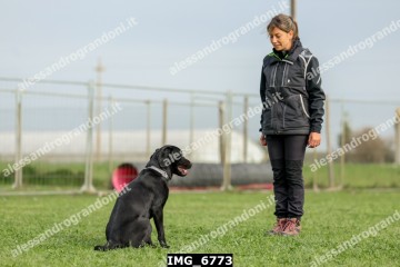 IMG_6773.jpg
