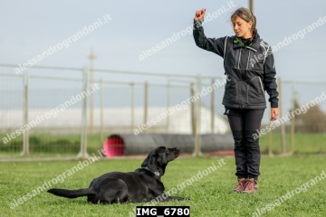 IMG_6780.jpg