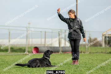 IMG_6790.jpg