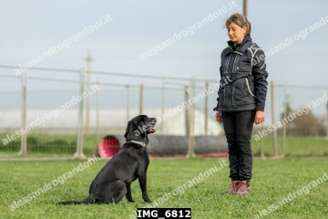 IMG_6812.jpg