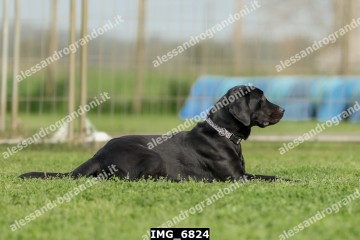 IMG_6824.jpg