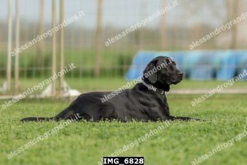 IMG_6828.jpg