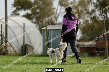 IMG_6841.jpg