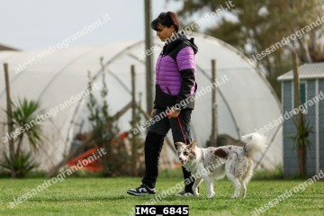 IMG_6845.jpg