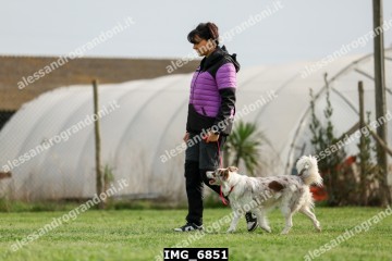 IMG_6851.jpg