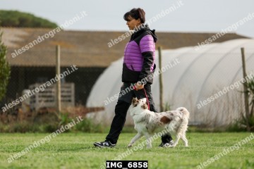 IMG_6858.jpg