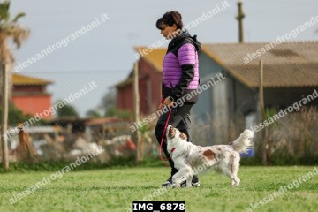 IMG_6878.jpg