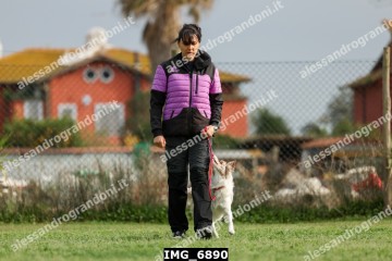 IMG_6890.jpg