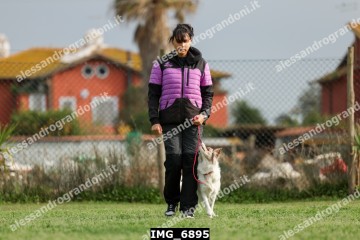 IMG_6895.jpg