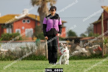 IMG_6899.jpg