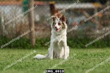 IMG_6910.jpg