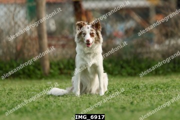 IMG_6917.jpg