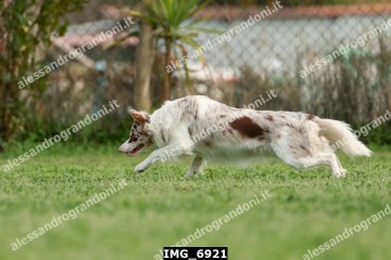 IMG_6921.jpg