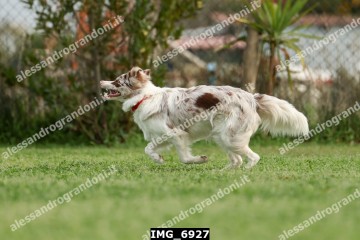IMG_6927.jpg