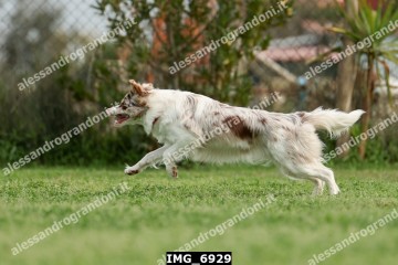 IMG_6929.jpg