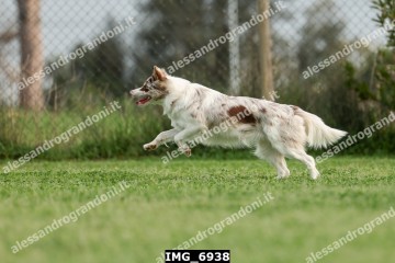 IMG_6938.jpg