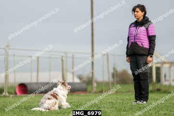 IMG_6979.jpg