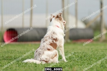 IMG_6985.jpg