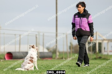 IMG_6994.jpg
