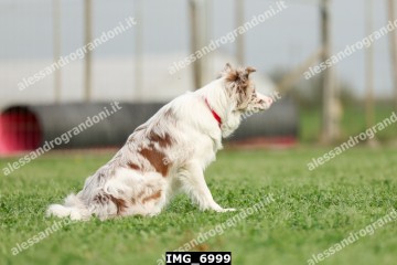IMG_6999.jpg