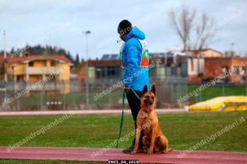 ENCI_04_1019.jpg