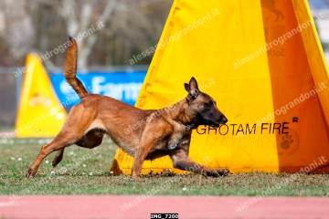 IMG_7200.jpg