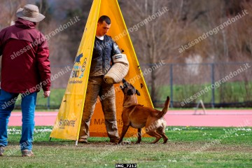 IMG_7212.jpg