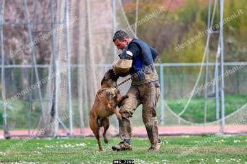 IMG_7259.jpg