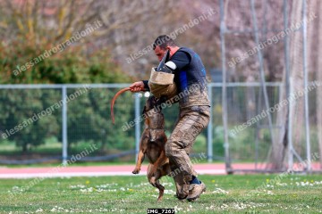 IMG_7267.jpg